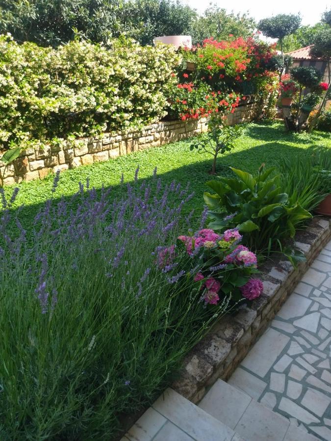Zelena Oaza Apartment Novigrad  Luaran gambar