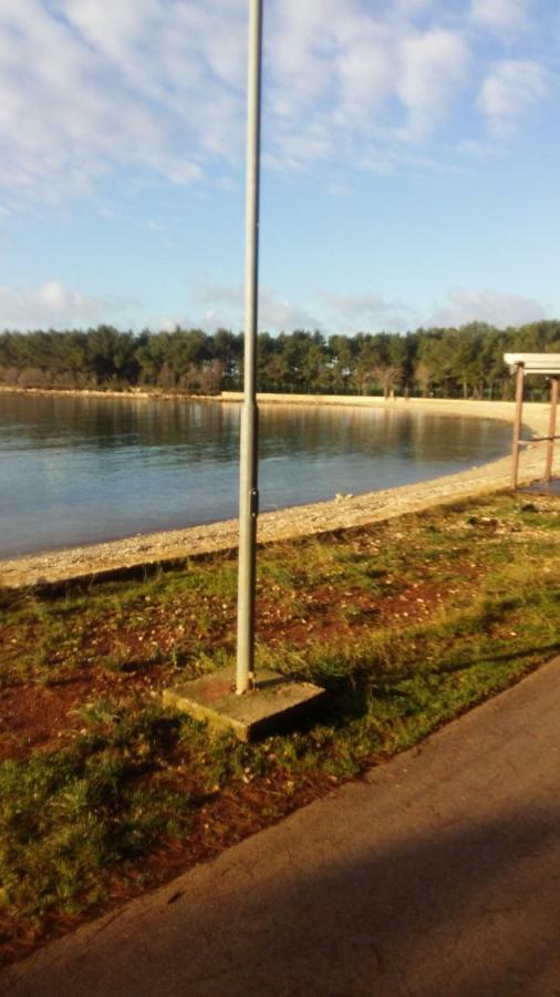 Zelena Oaza Apartment Novigrad  Luaran gambar
